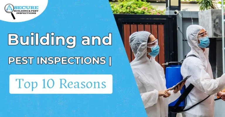 Building and Pest Inspection | 10 Best Reasons and Benefits