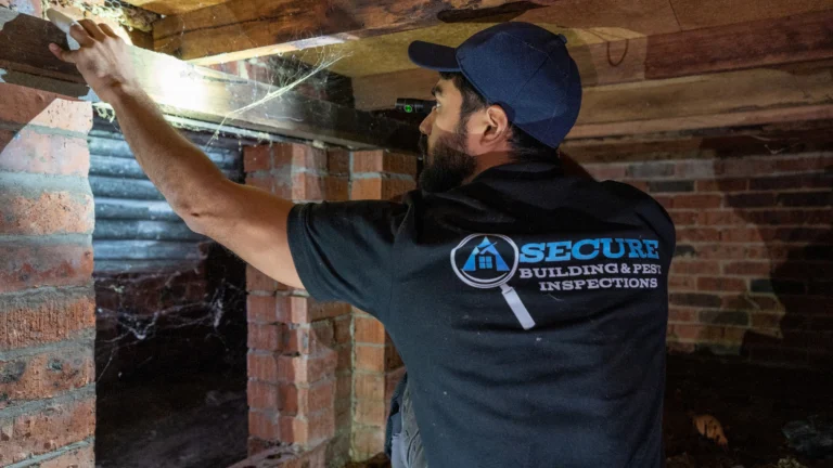Inspector using a torch to check subfloor timbers